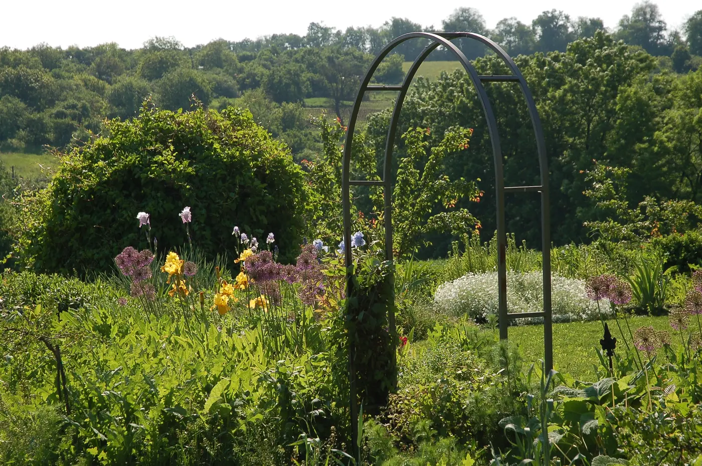 Garden route framed by planting and a metal arch