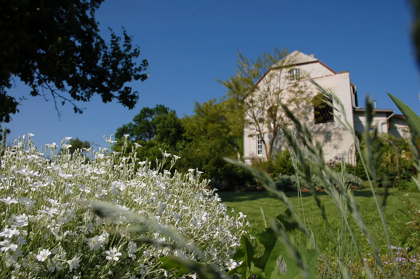 Final landscape view with white flowers and the house beyond
